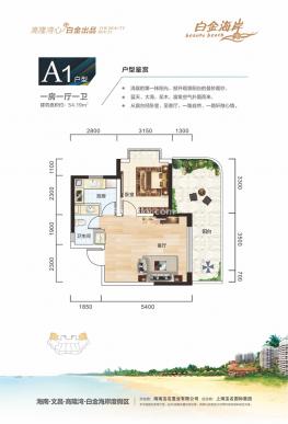 A1户型54㎡一房一厅